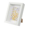 Vienna Shadow Box White 6x8 Inch with 4x6 Inch  Opening